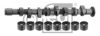 VW 030109101BGS1 Camshaft Kit